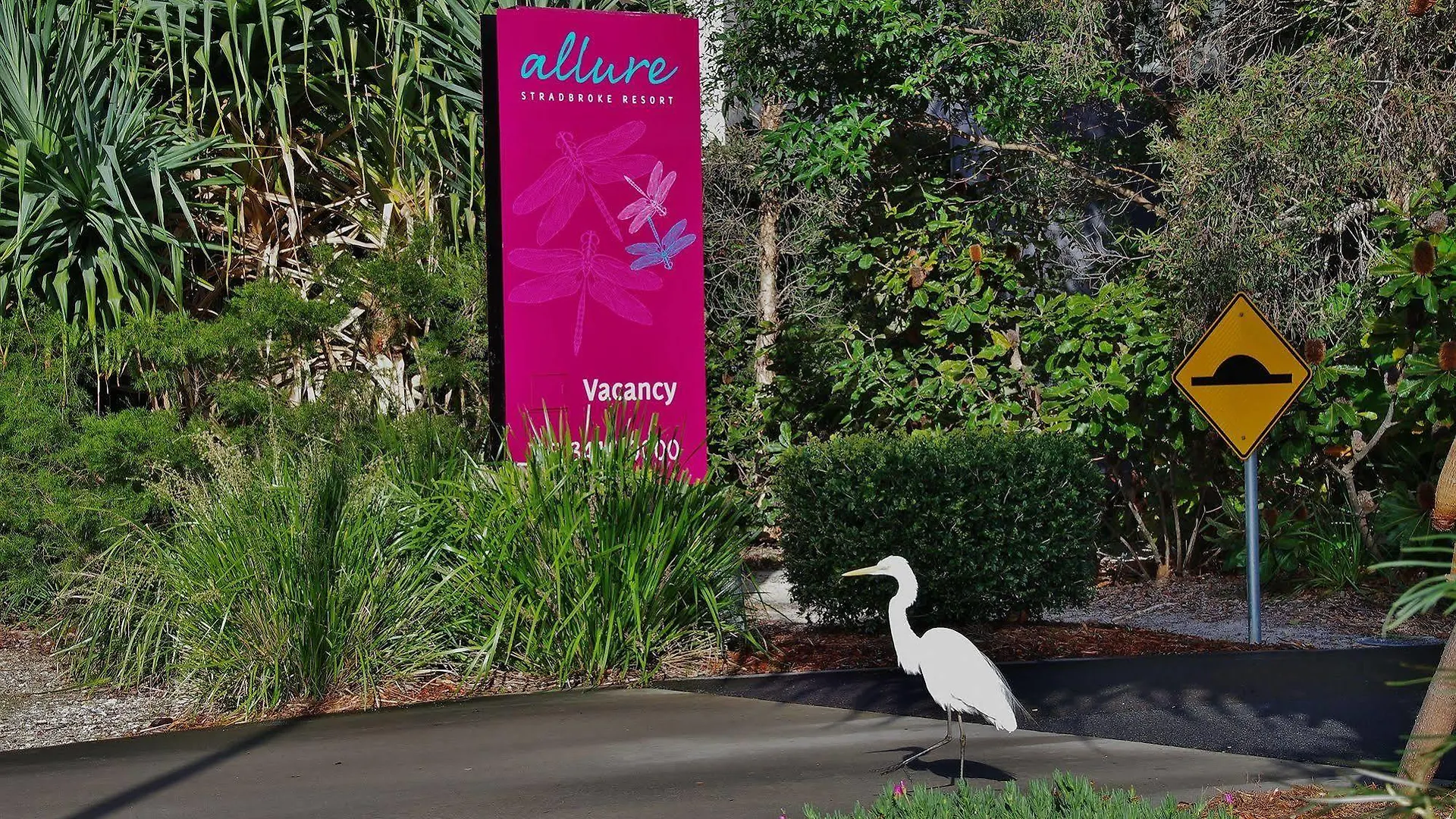 Allure Stradbroke Resort Point Lookout